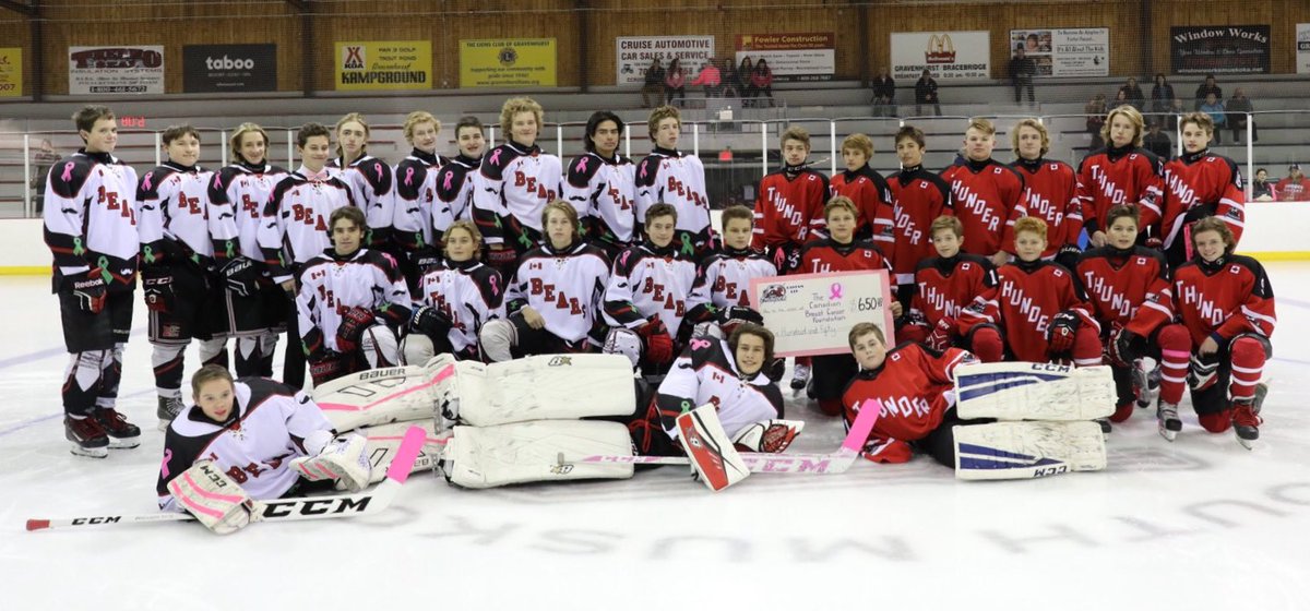 Hockey Teams Fight Breast Cancer 