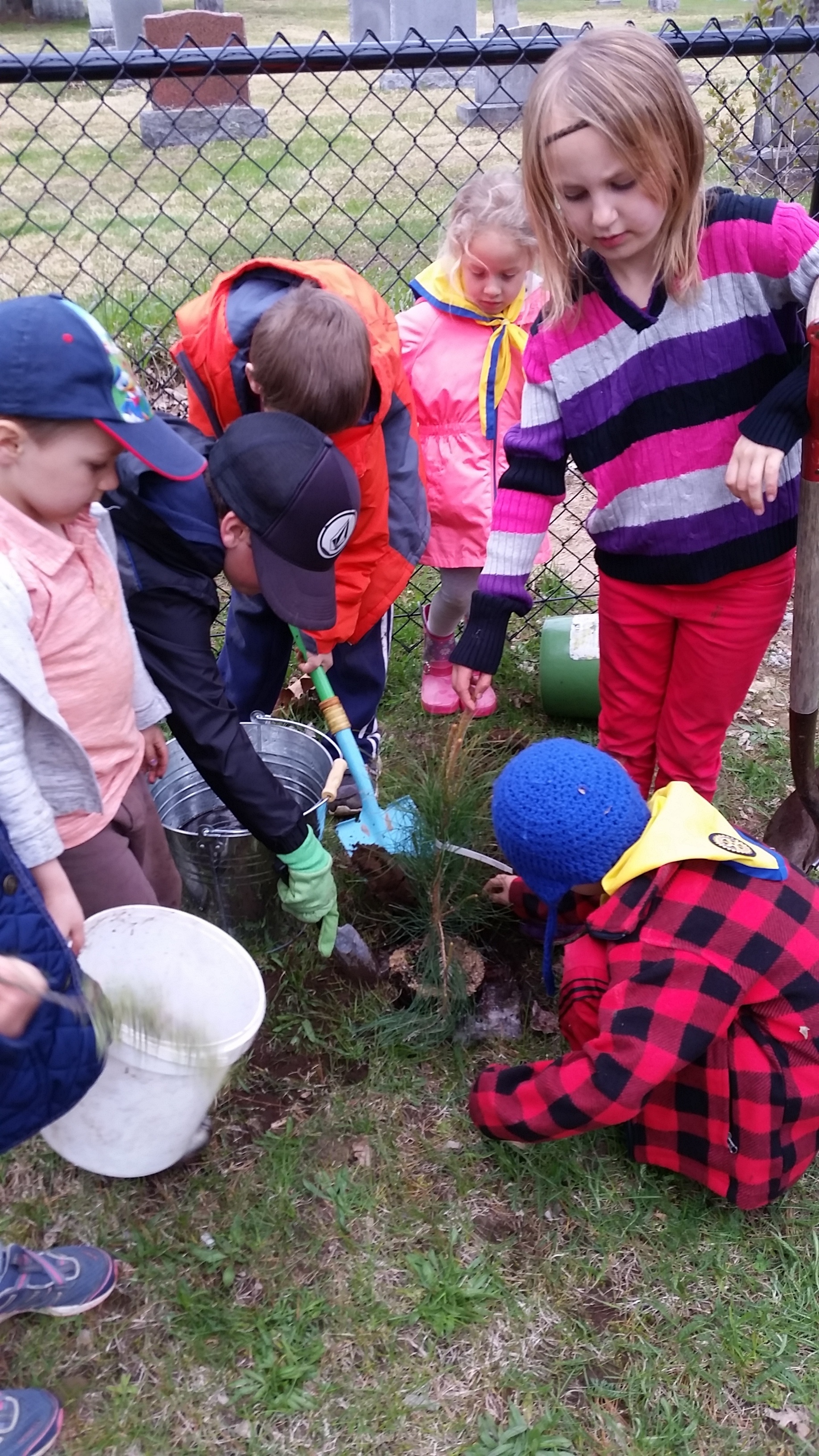 Beavers, Cubs, and, Scouts Plant Trees in Annie Williams Park ...