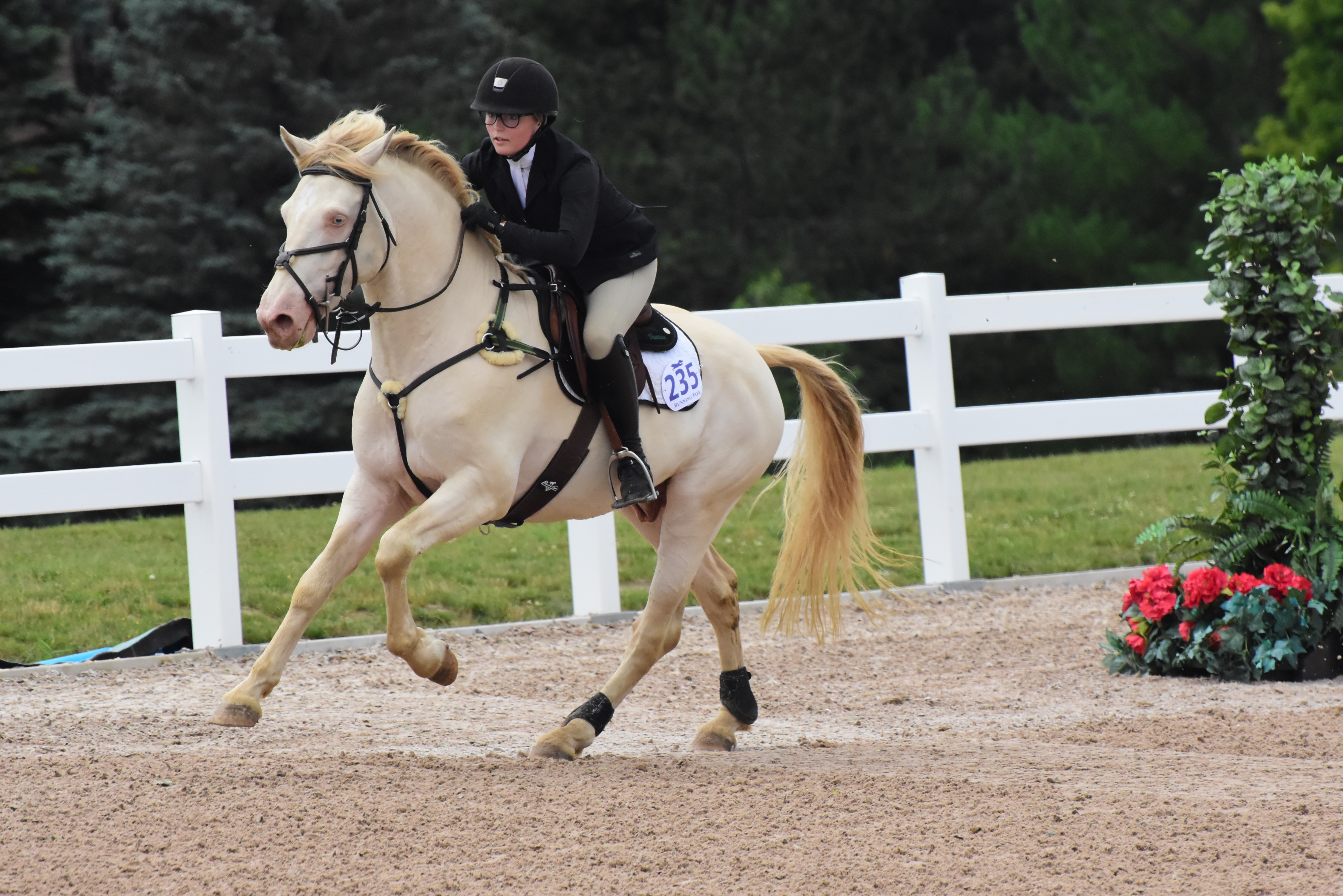 Ontario Equestrian Is Getting Ready To Make History At The Royal