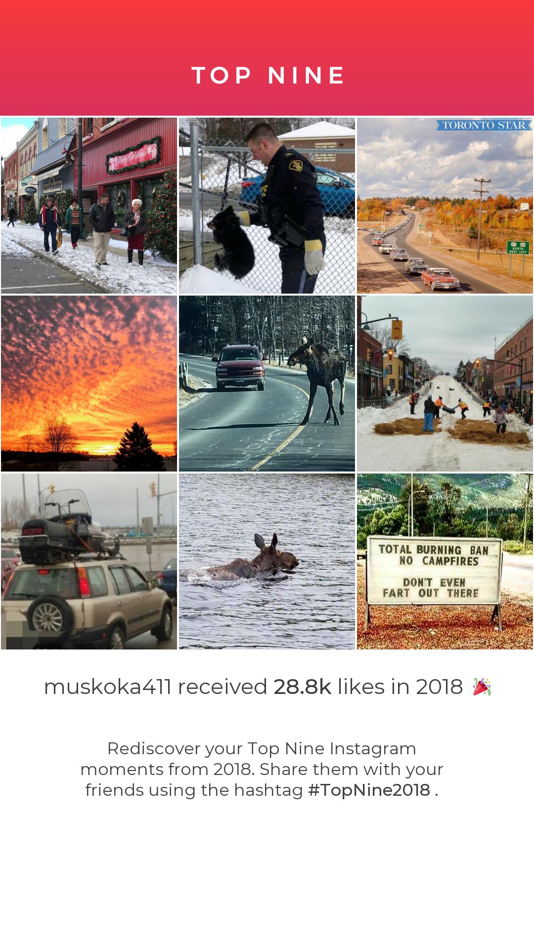 !   2018 year in review our top 9 photos on instagram in 2018 - instagram y!   ear in review 2018