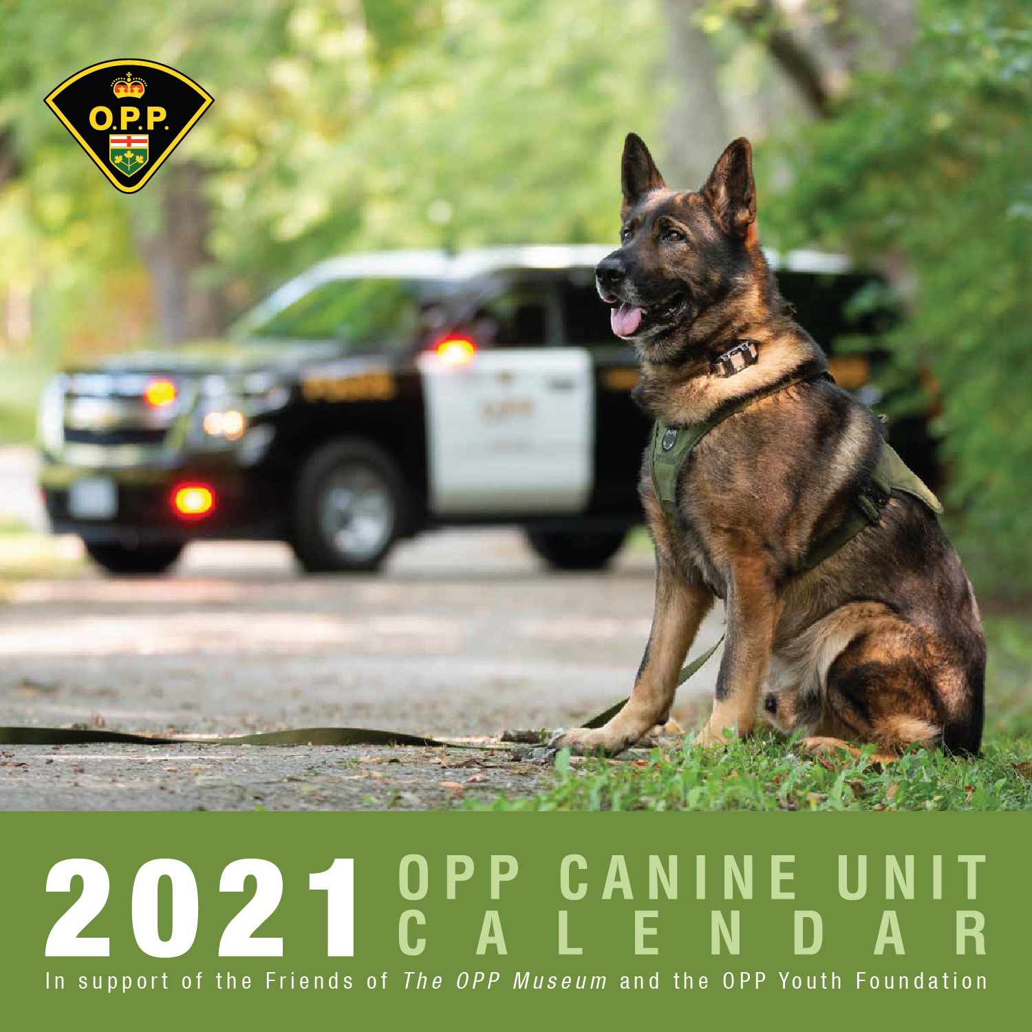 purchase-an-opp-canine-calendar-with-proceeds-supporting-opp-youth-foundation-muskoka411