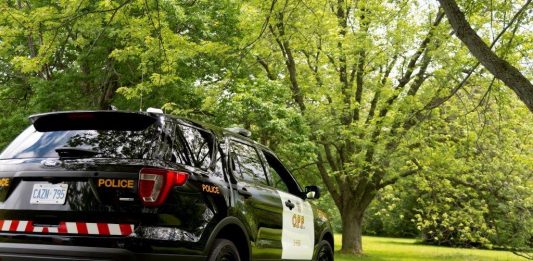 OPP Find 4000 Cannabis Plants At Illegal Grow Site In Bracebridge