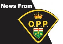 A Youth Is Safe After Drifting On A Boogie Board From Shore Without A Life Jacket On Georgian Bay