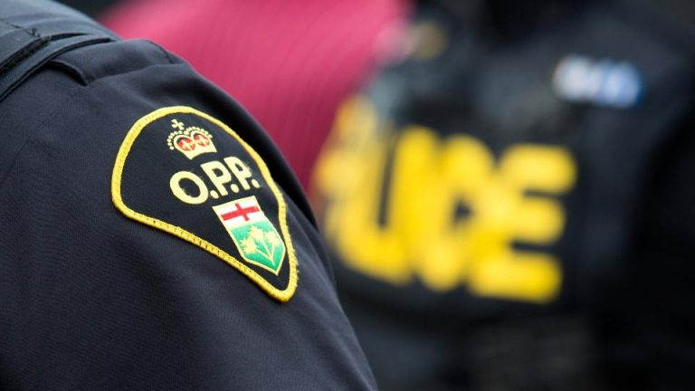 Bracebridge OPP Arrest Two Gravenhurst Residents While Investigating Thefts From Vehicles