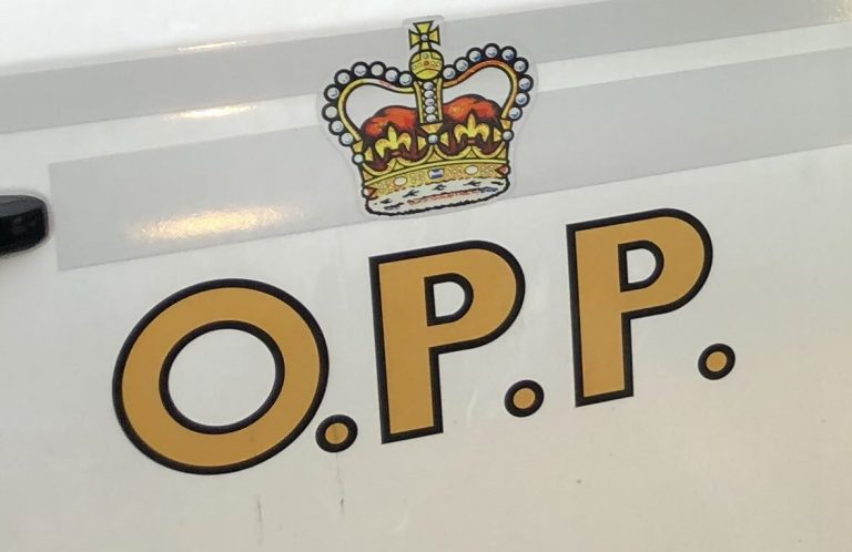 Member Of The Public Calls In Impaired Driver In Orillia