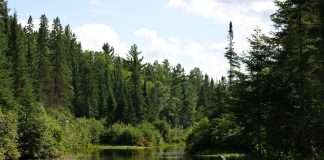 Algonquin Provincial Park, an Ontario Parks site in Muskoka