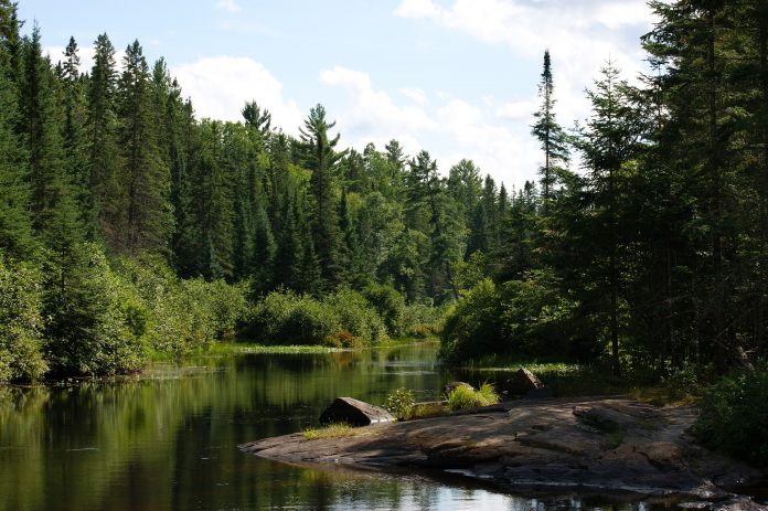 Algonquin Provincial Park, an Ontario Parks site in Muskoka