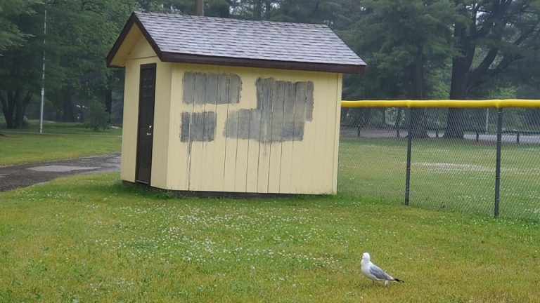 Police Seeking Witnesses To Graffiti In Gravenhurst