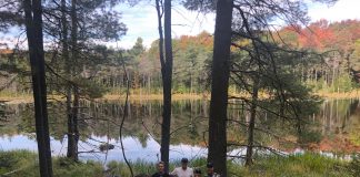 Muskoka Conservancy and Muskoka Grown are teaming up to host a clean-up at Upjohn Nature Reserve on Sept. 18 after a successful 2019 event at the same property. Photo courtesy of Muskoka Conservancy