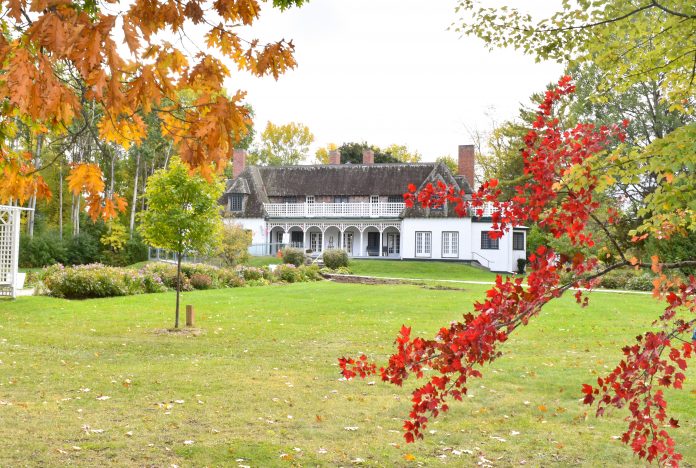 Leacock in Fall 2020