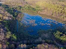 A view overlooking portions of the Muskoka Royale property