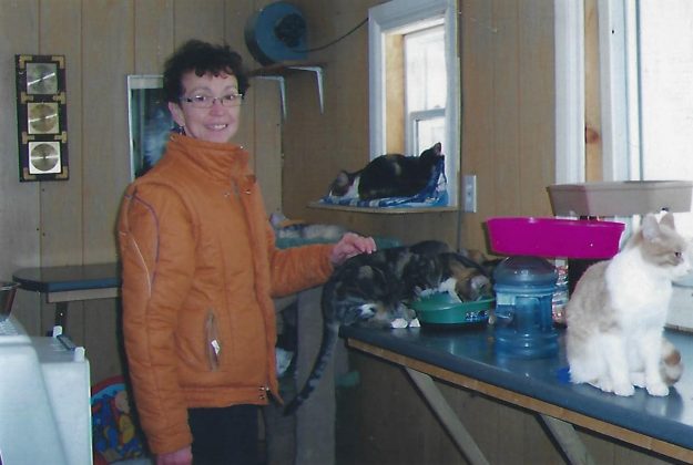 Comfie Cat 2005