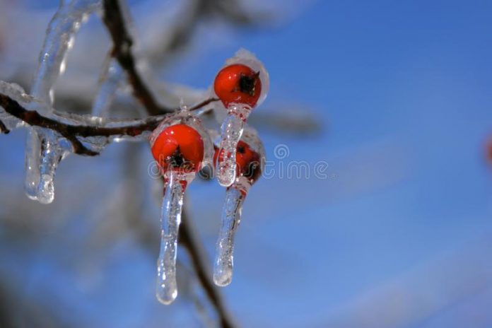 freezing rain