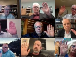 Planning committee zoom meeting, council approves muskoka royale