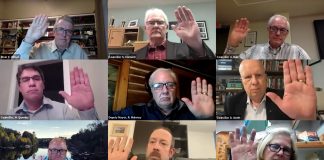 Planning committee zoom meeting, council approves muskoka royale