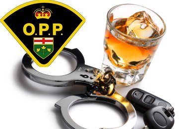Disturbance At Arrowhead Provincial Park Leads To Impaired Driving Charge