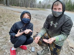 Early Painted Turtle Arrivals