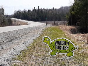 Watch 4 Turtles Sign