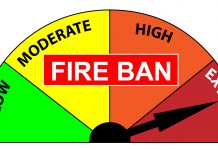 Total Fire Ban In Effect For All Of Muskoka