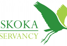 Muskoka Conservancy logo. Muskoka Conservancy oversees the Nelson Head Nature Reserve and many other properties across Muskoka.