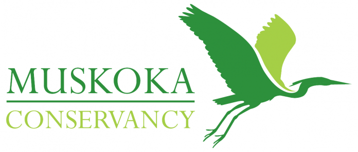 Muskoka Conservancy logo. Muskoka Conservancy oversees the Nelson Head Nature Reserve and many other properties across Muskoka.