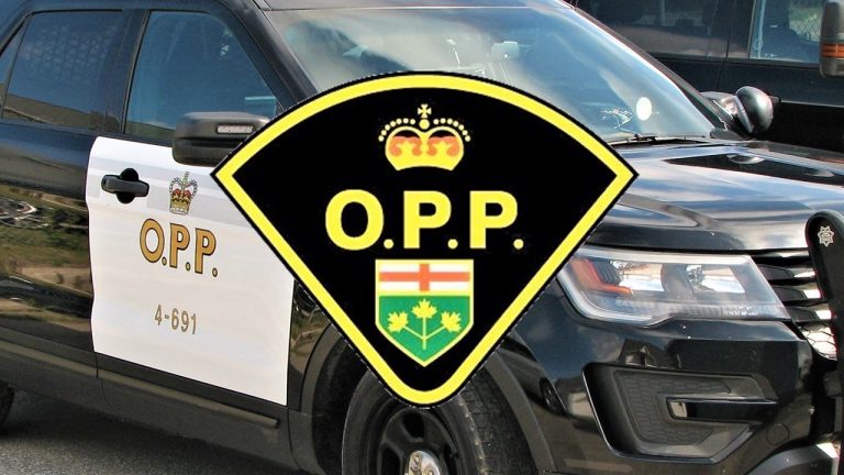 Several Charges Laid In Connection With Stolen Vehicle In Minden Hills Several Charges Laid In Connection With Stolen Vehicle In Minden Hills