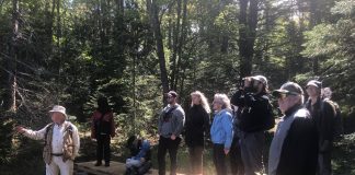Bill Dickinson, recipient of the Wayland Drew Award, leads a Nature Quest as part of the conservancy's series of expert guided hikes. Photo courtesy of Muskoka Conservancy