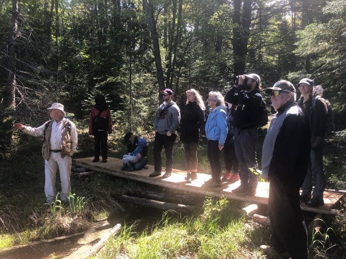 Bill Dickinson, recipient of the Wayland Drew Award, leads a Nature Quest as part of the conservancy's series of expert guided hikes. Photo courtesy of Muskoka Conservancy