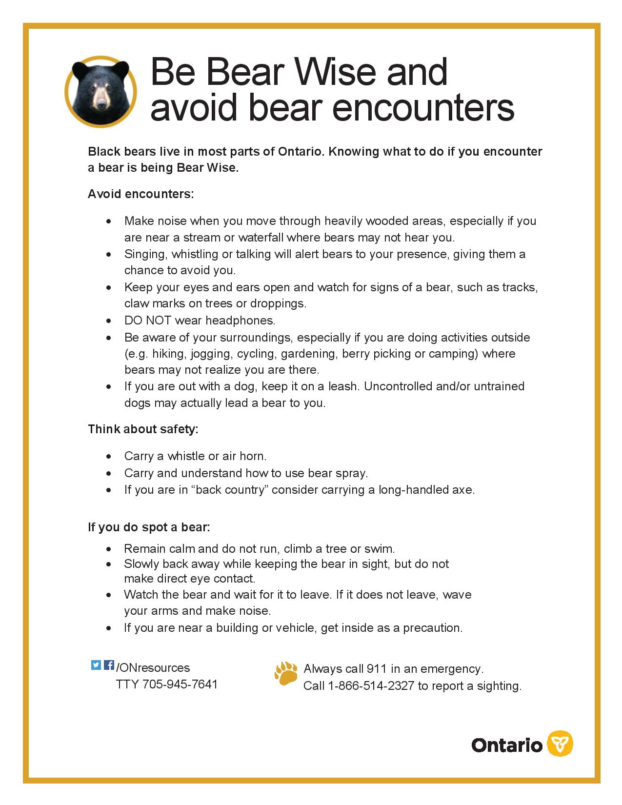 Be Bear Wise - How To Avoid Encounters With Bears - muskoka411.com