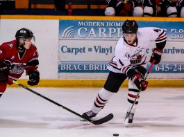 Billet homes: South Muskoka Shield is in search of billet families for their players, pictured playing the Knights of Meaford