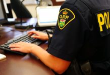Tips For Completing An Online Police Record Check