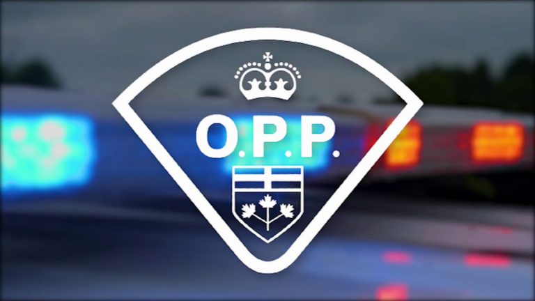 Orillia Resident Faces Robbery, Assault And Kidnapping Charges