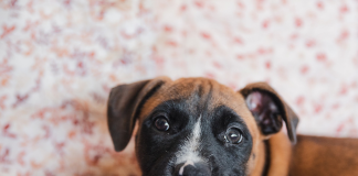 Giving Tuesday: Together we help. GivingTuesday.ca.
