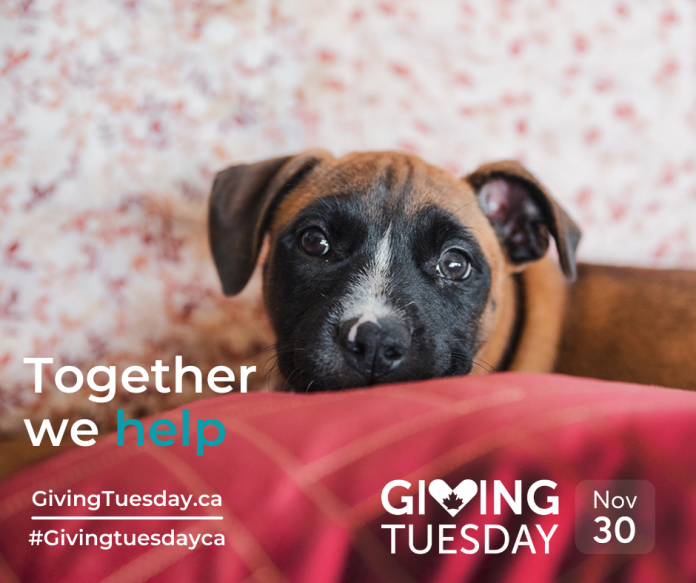 Giving Tuesday: Together we help. GivingTuesday.ca.