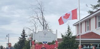 Lawn poppies on display at The Manor at Gravenhurst