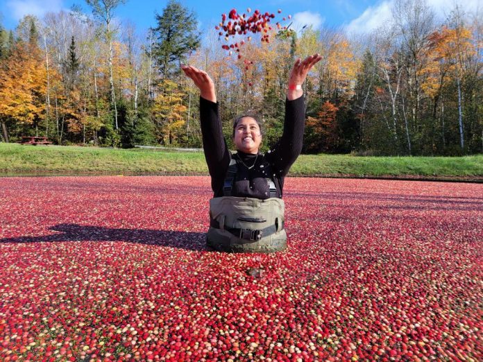 Sureka Vishnumoorthy at the Bala Cranberry Festival Bala Cranberry Festival-goer Sureka Vishnumoorthy throws cranberries in the air at Muskoka Lakes Farm & Winery
