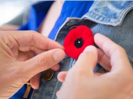 A Remembrance Day poppy pin is placed on a person's jacket