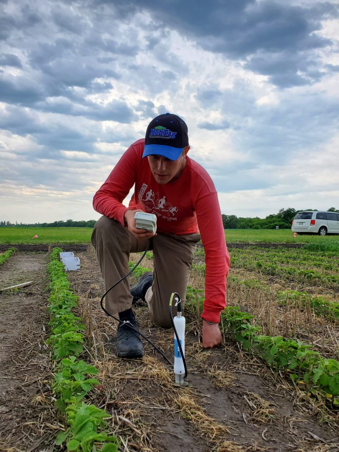 Callum Morrison, cover crop report author