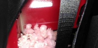 Rodents: The mouse nest found in Muskoka Lakes resident Aimee Sloggett's car