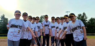 Muskoka Hornets U12 AAA Baseball Team