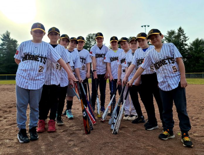 Muskoka Hornets U12 AAA Baseball Team