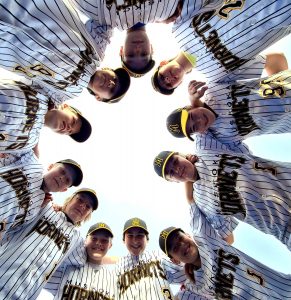 Muskoka Hornets U12 AAA Baseball Team