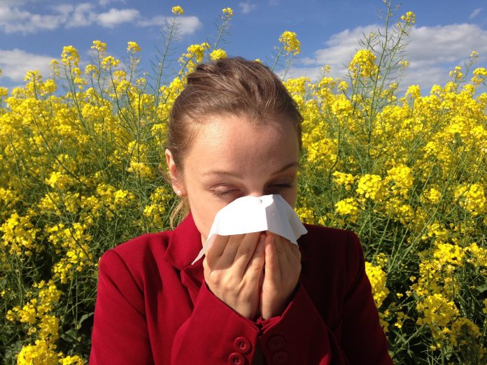Allergy Season Nutrition Tips From Your Local Registered Dietitian