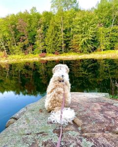 Cailan's Paddle for Aspen Valley