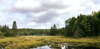 Bear Cave-Koetitz Nature Reserve, north of Lake Rosseau