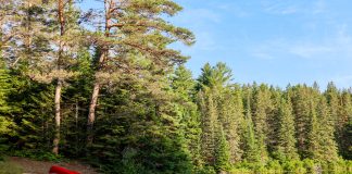 Lakes and citizen science