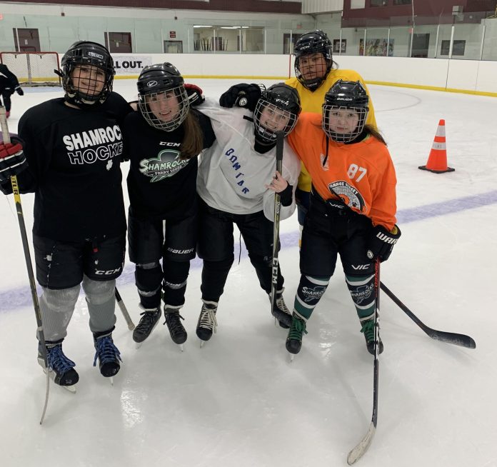 Elementary Hockey 1