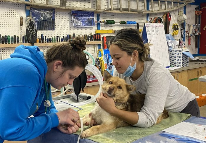 PetSmart Charities of Canada-PetSmart Charities of Canada Addres