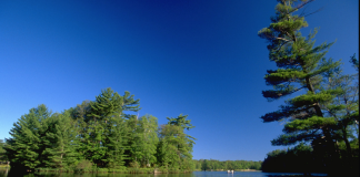 Six Mile Lake Park, Healthy Parks Healthy People Day