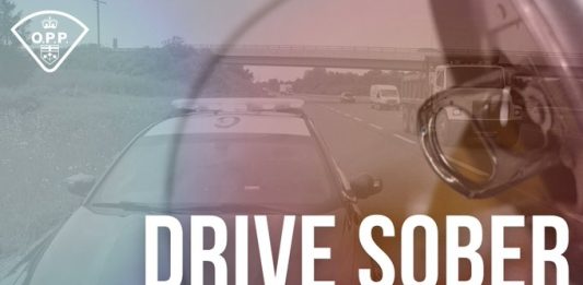 OPP Find Impaired Driver At Samuel De Champlain Provincial Park
